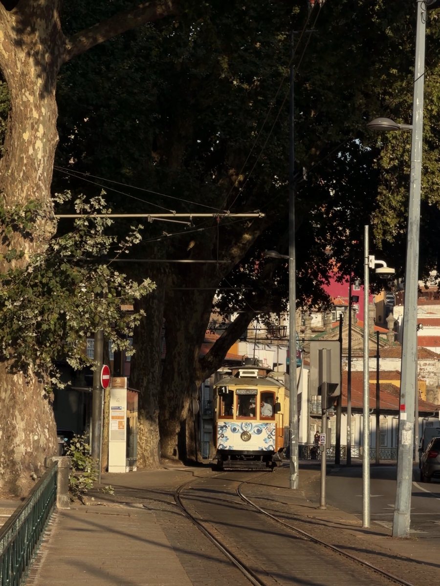 Um elétrico antigo a descer uma rua com árvores
