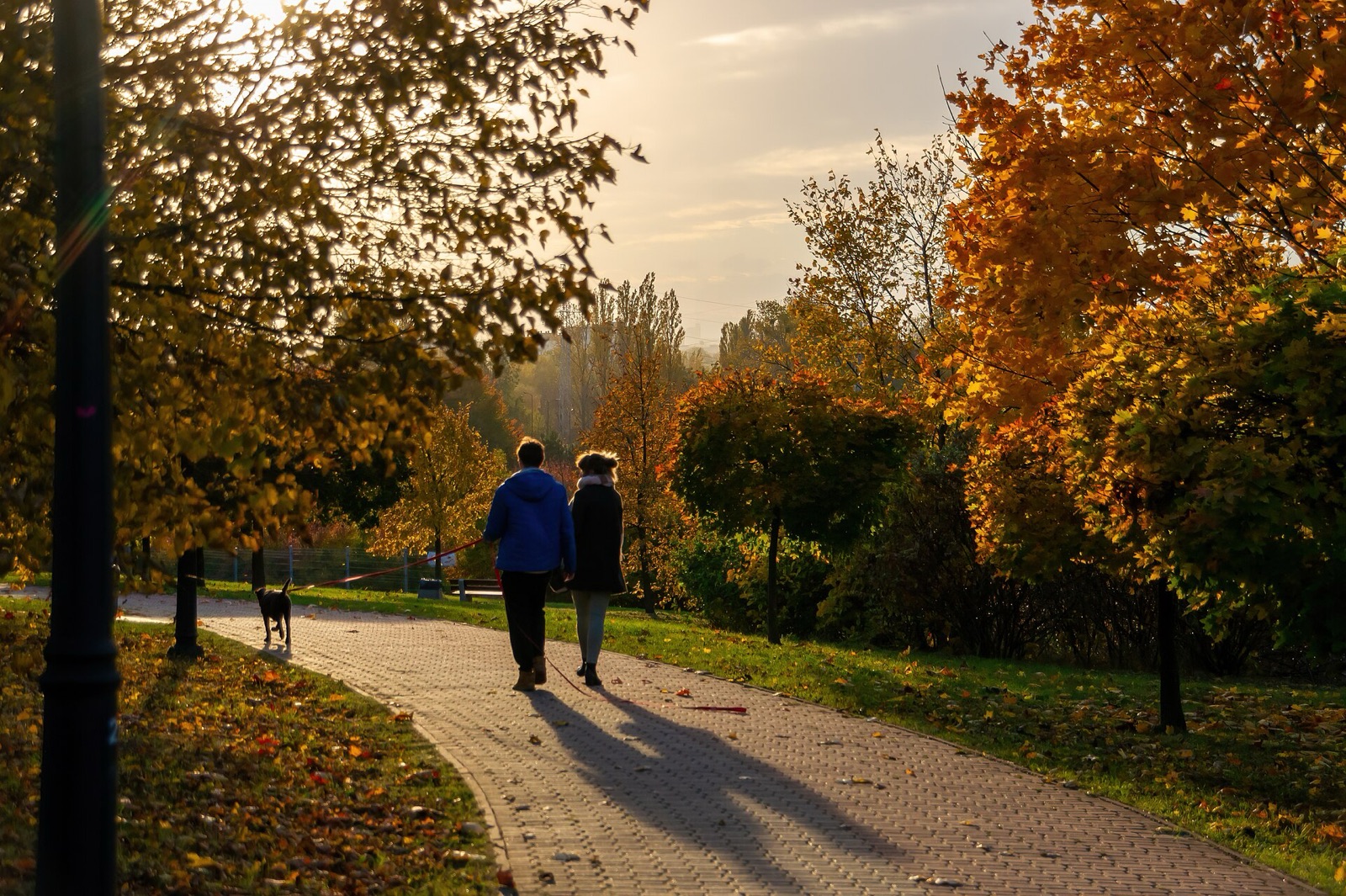 Two people walking a dog along an autumn path at golden hour, seen from behind